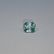 Октагон 8,82*7,44 мм, 5/г1, вес: 2,42 ct. - Ювелирные изделия, бижутерия